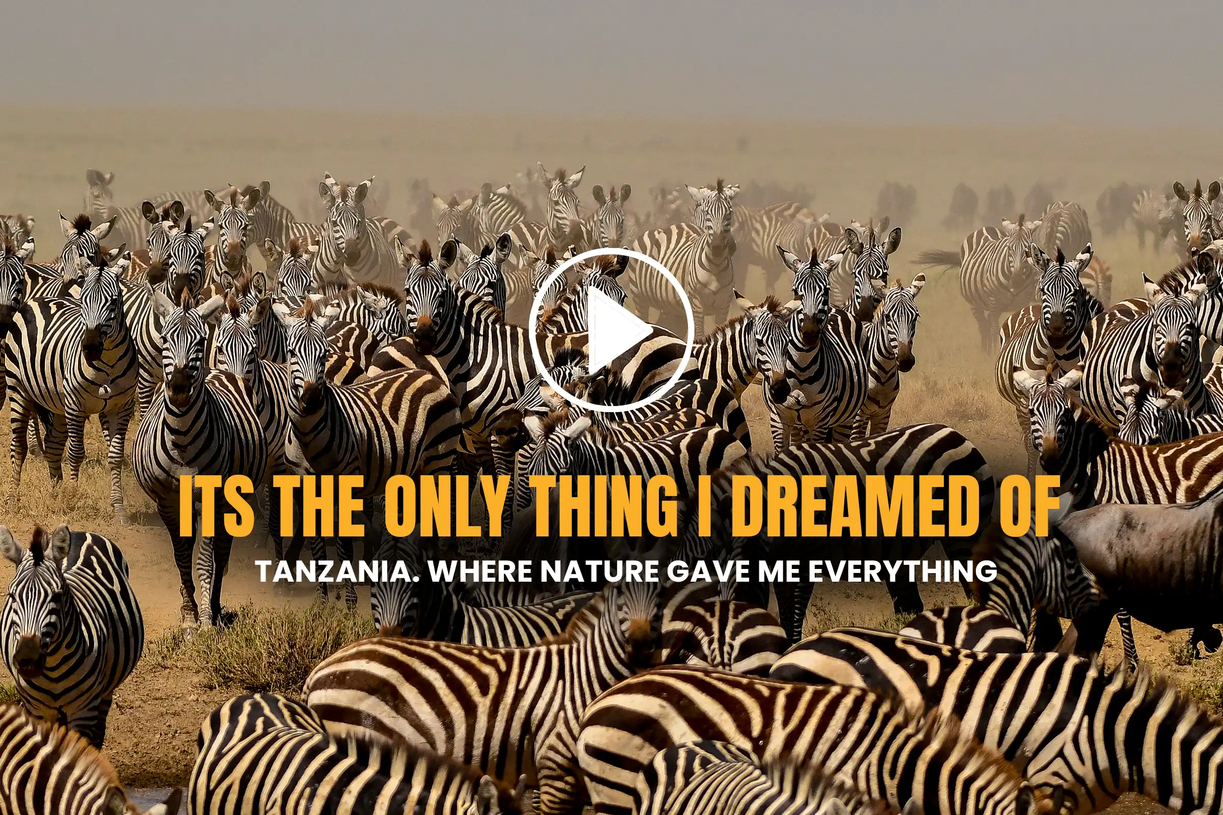 Talanta-Trust-Videos