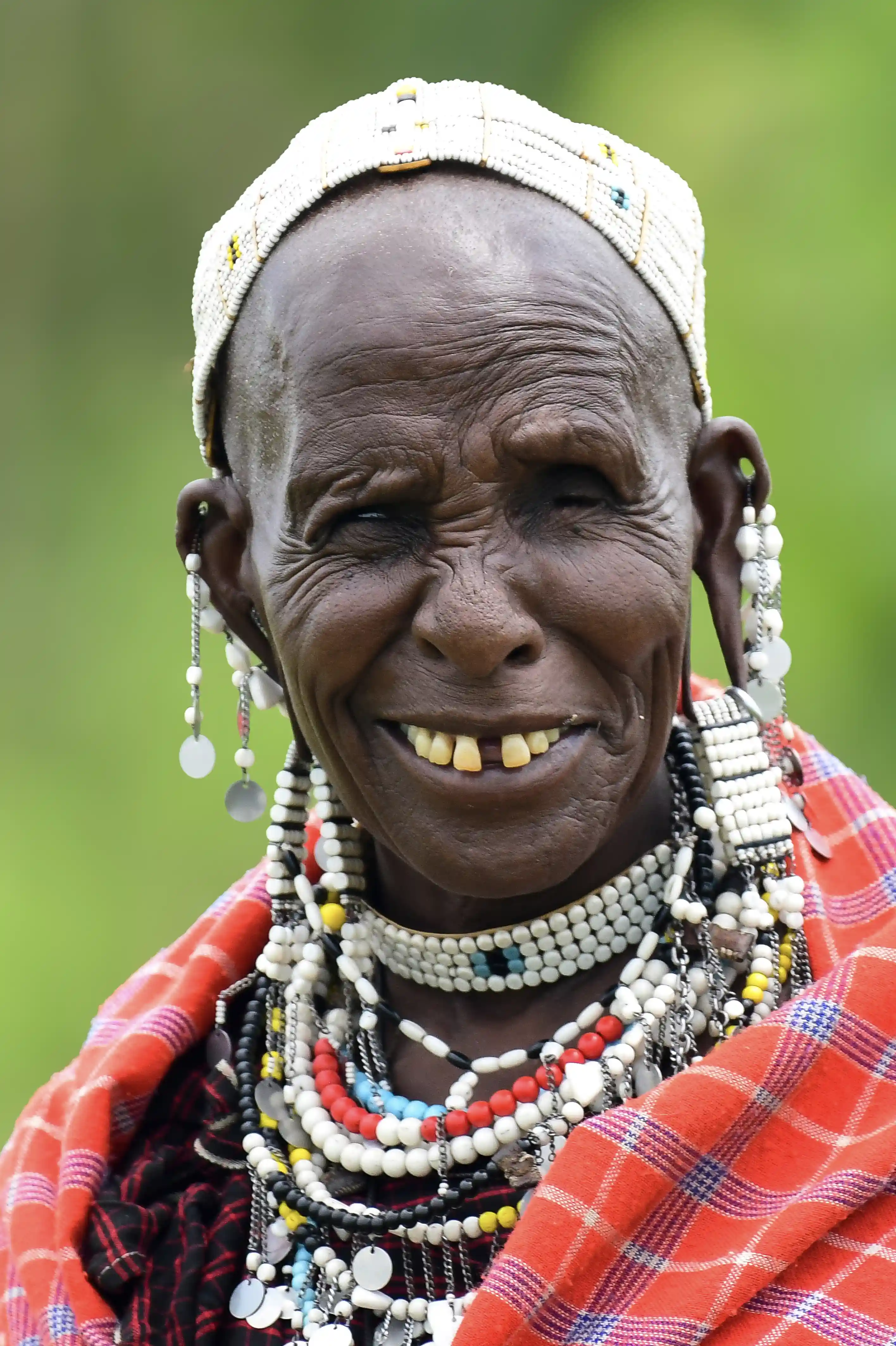 Talanta Trust Image 7